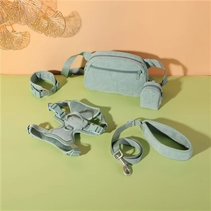 Mint Green Corduroy Dog Set