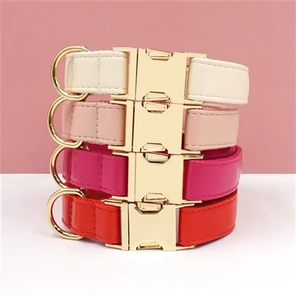 Best Leather Dog Collars