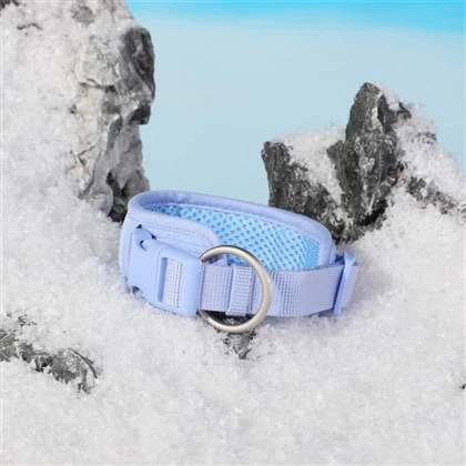 Breathable Padded Dog Collars