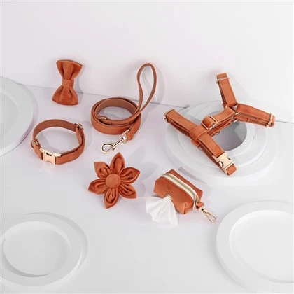 Caramel Dog Collar Set