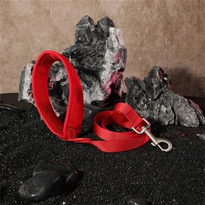 Corduroy Padded Dog Leash