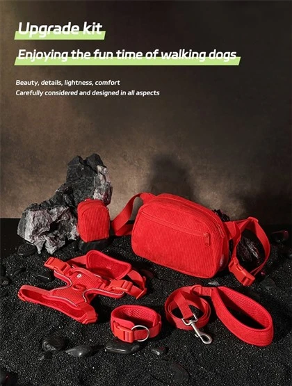 Cute Matching Dog Harnesses Leashes