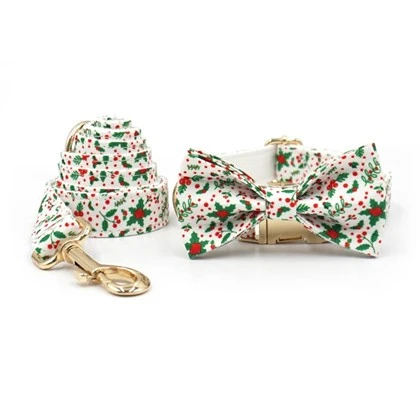Fashionable Dog Collar Set