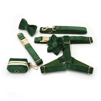 Forest Green Dog Collar Set