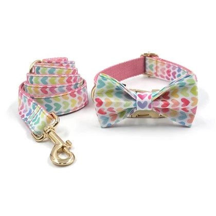 Heart Pattern Best Designer Dog Collars