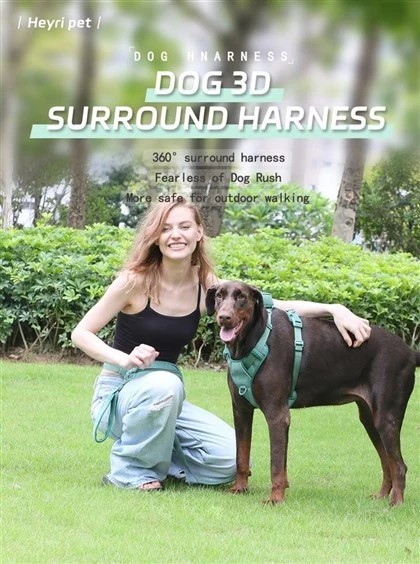 Luxury Collar Walk Sets