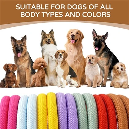 LUXURY ROPE DOG LEASH CUSTOM