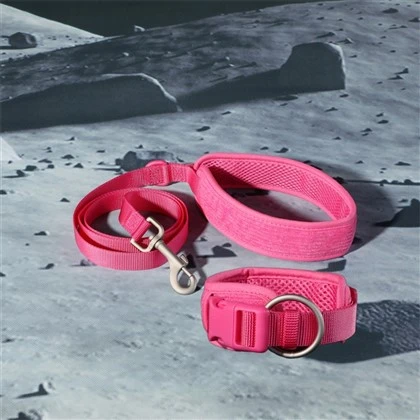 Padded Dog Collars and Leashes