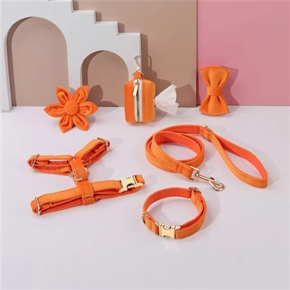 Sunshine Orange Dog Collar Set