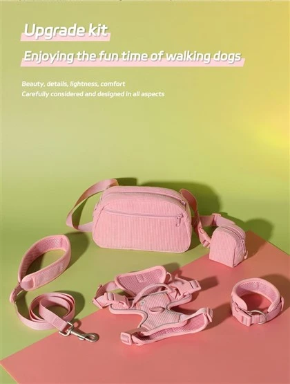 Unique Dog Collars And Leashes